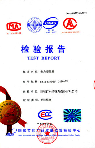益阳电力变压器检测报告